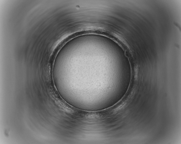 X0000101971021200807251206