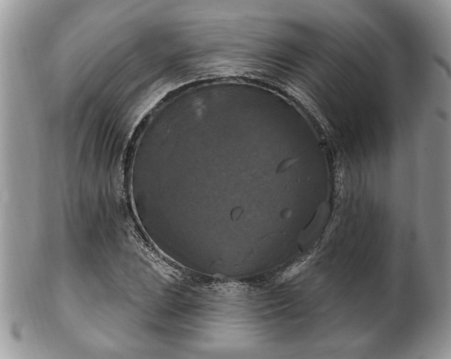 X0000101971023200807251206