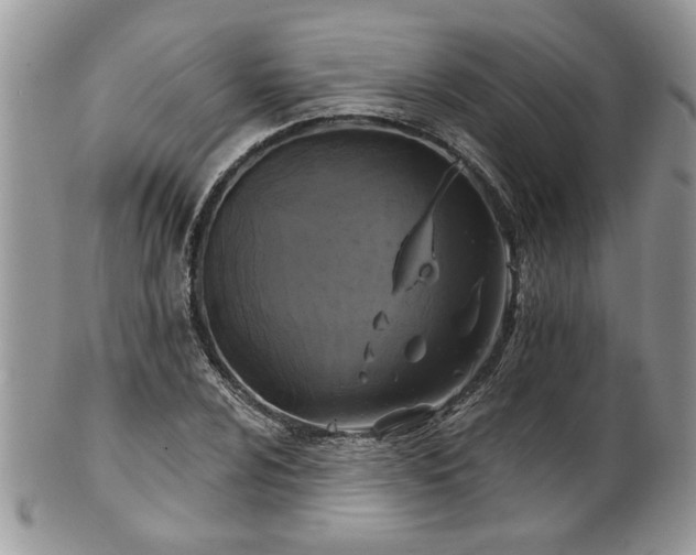 X0000101971024200807251206