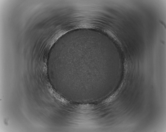 X0000101971025200807251206