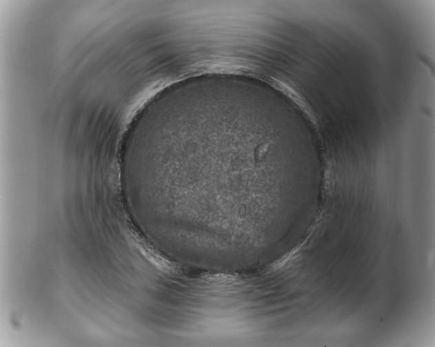 X0000101971027200807251206
