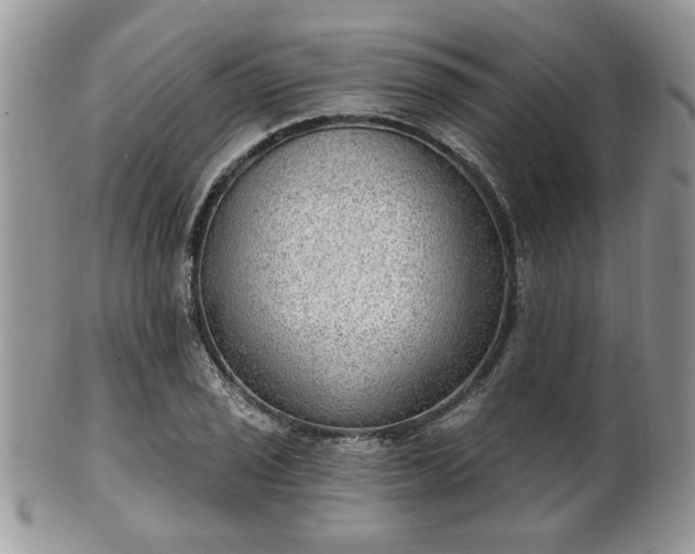 X0000101971029200807251206