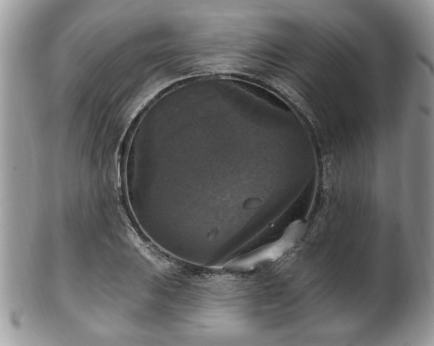 X0000101971031200807251206