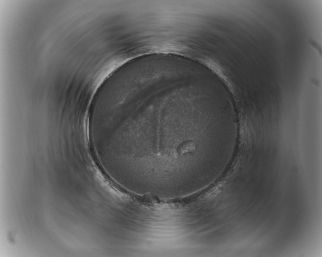 X0000101971032200807251207