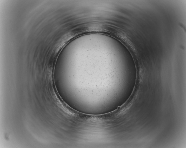 X0000101971033200807251207