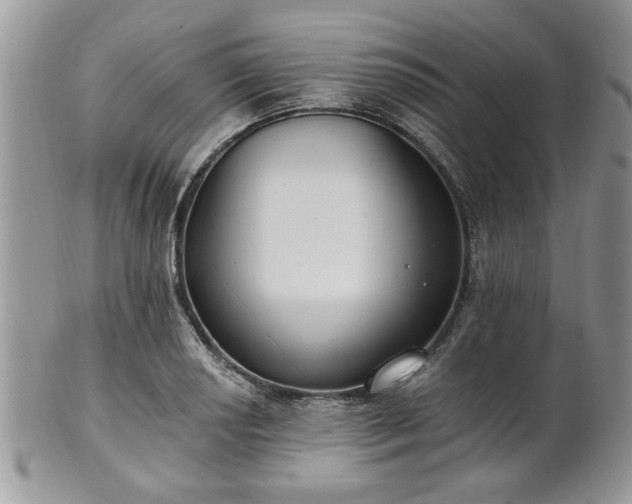 X0000101971034200807251207
