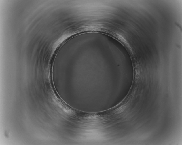 X0000101971035200807251207