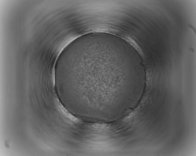 X0000101971036200807251207