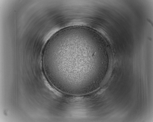 X0000101971038200807251207