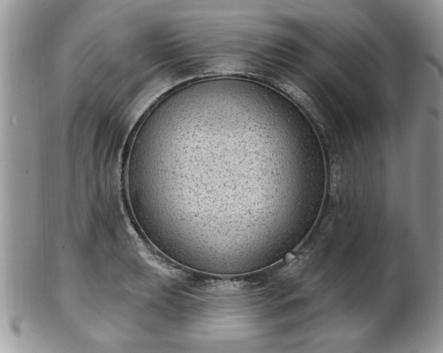 X0000101971039200807251207