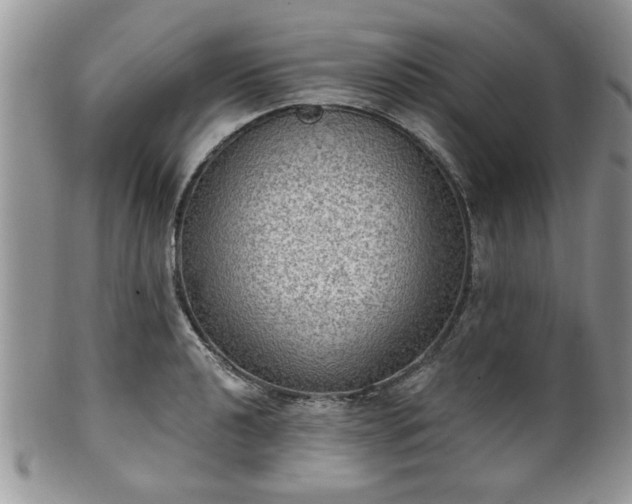 X0000101971040200807251207