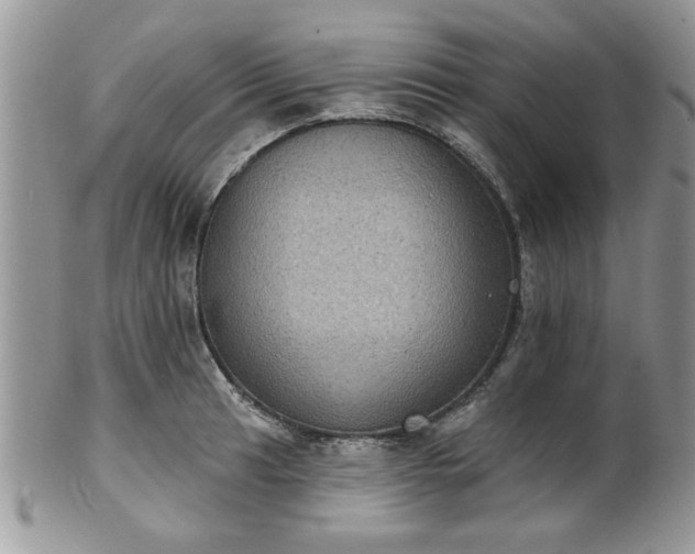 X0000101971041200807251207