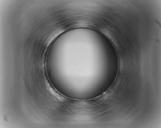 X0000101971042200807251207
