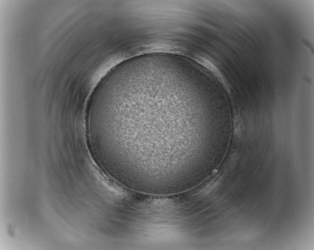 X0000101971043200807251207