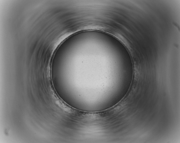 X0000101971044200807251207