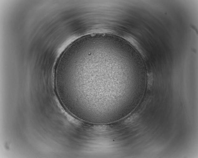 X0000101971046200807251207