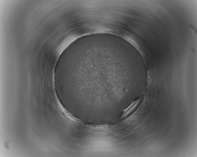 X0000101971047200807251207