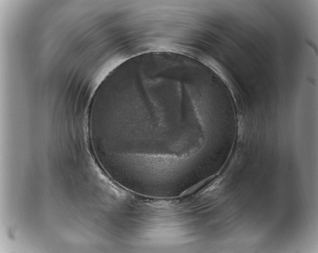 X0000101971048200807251207