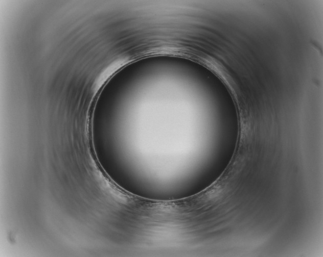 X0000101971050200807251207