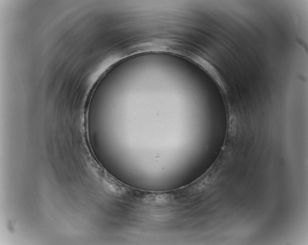 X0000101971051200807251207