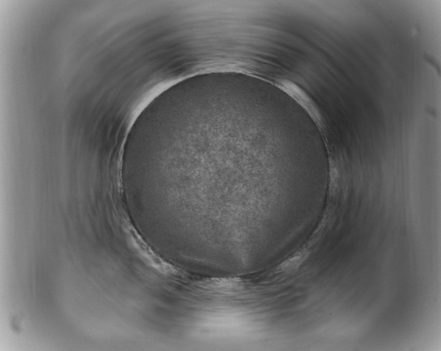X0000101971052200807251207