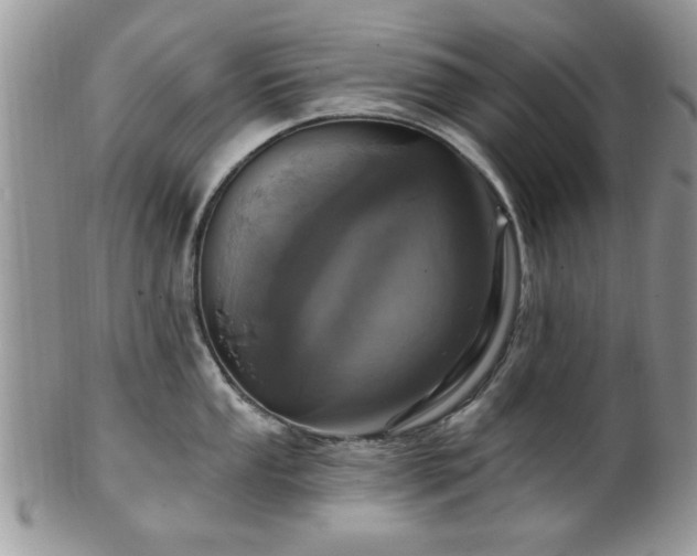 X0000101971053200807251207