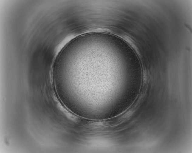 X0000101971054200807251207