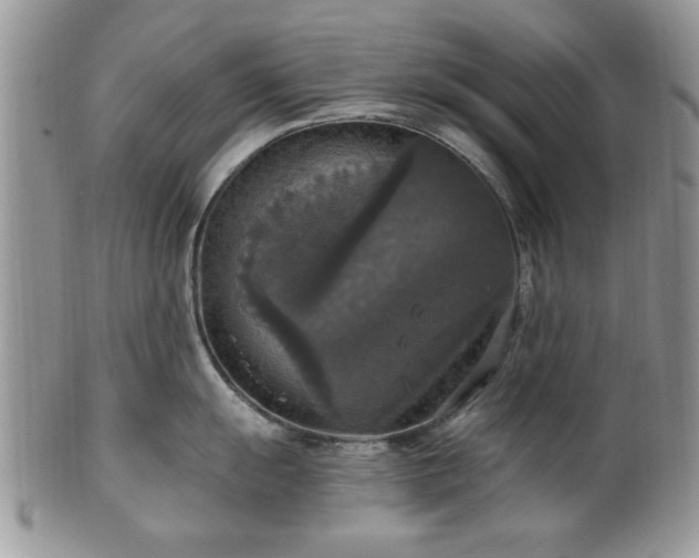 X0000101971055200807251207