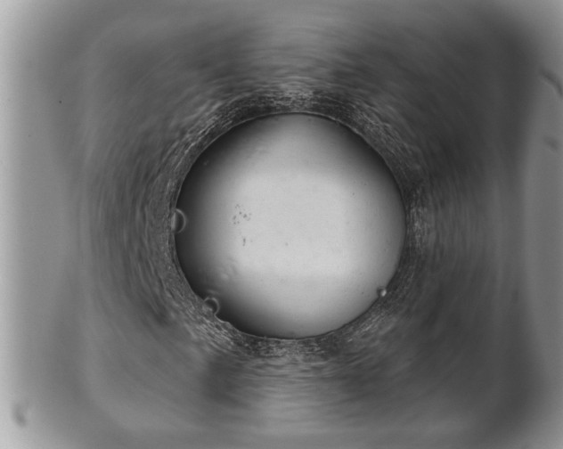 X0000101971057200807251206