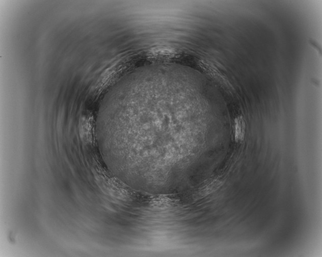 X0000101971059200807251206