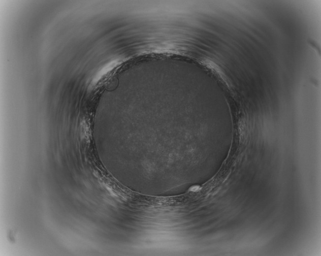 X0000101971064200807251206