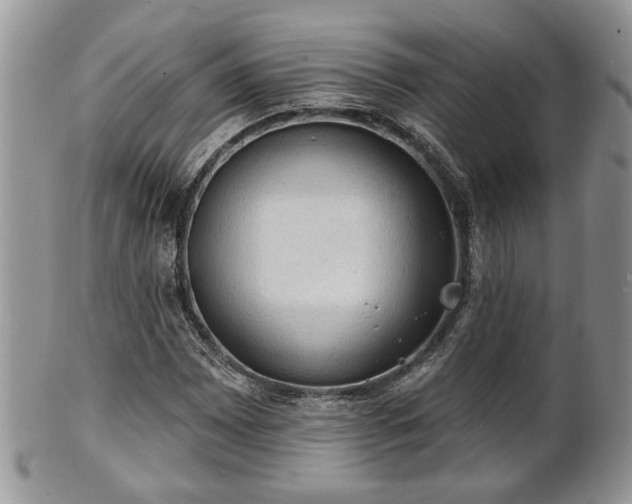 X0000101971065200807251206