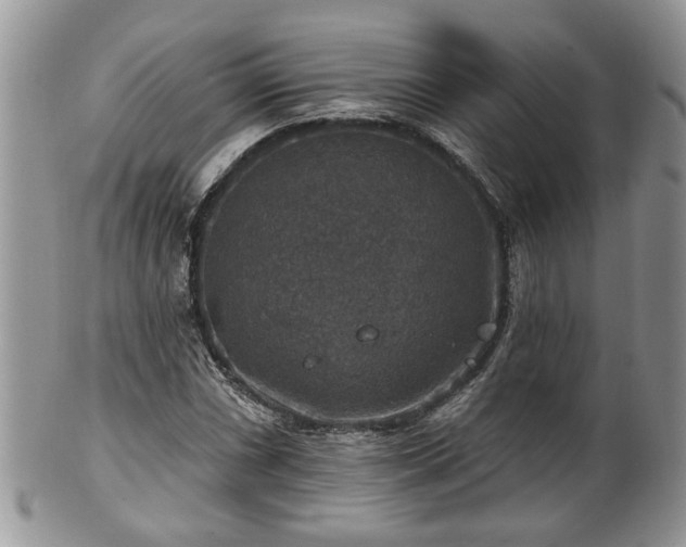 X0000101971066200807251206