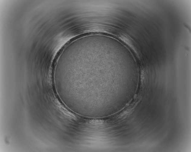 X0000101971068200807251206