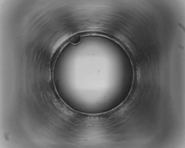 X0000101971069200807251206