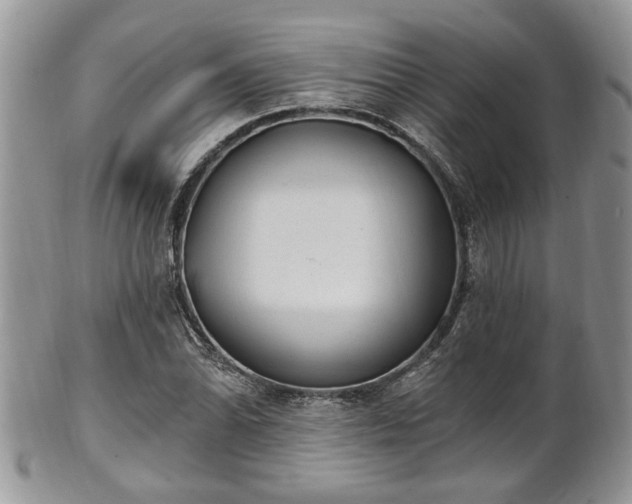 X0000101971070200807251206