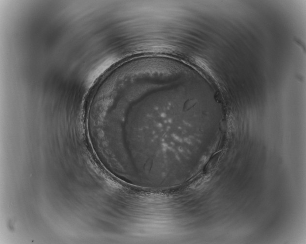 X0000101971071200807251206