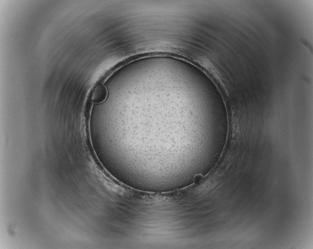 X0000101971072200807251206