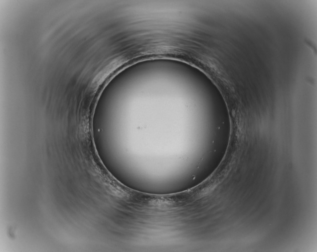 X0000101971073200807251206