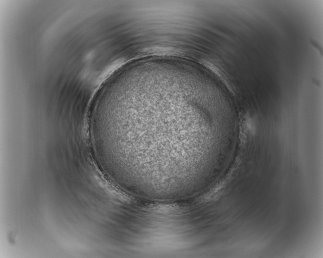 X0000101971074200807251206
