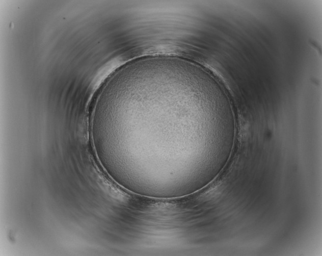 X0000101971075200807251206