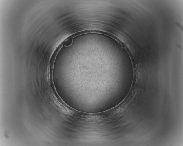 X0000101971076200807251206