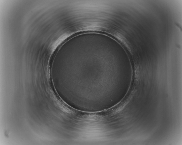 X0000101971077200807251206