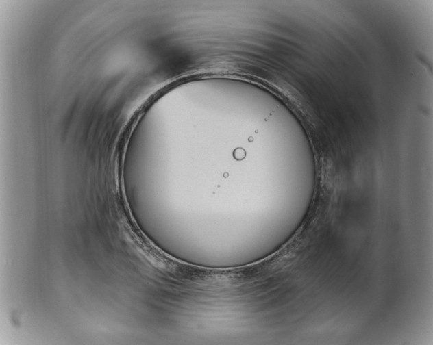 X0000101971078200807251206