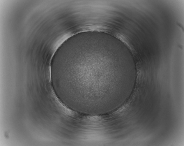 X0000101971079200807251206