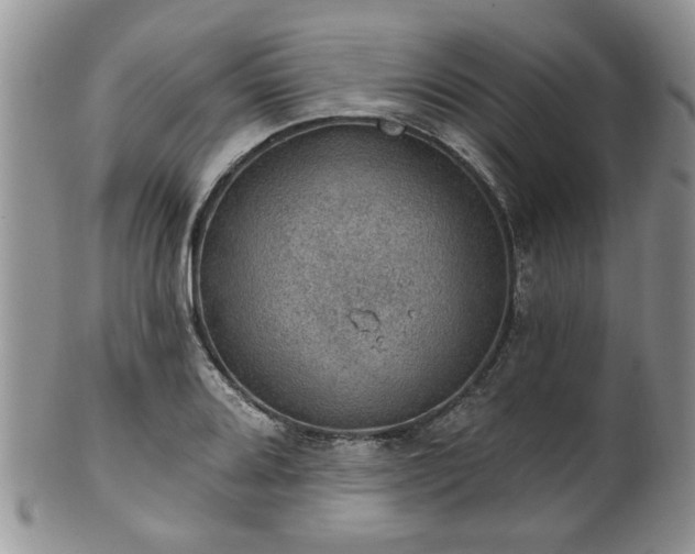 X0000101971080200807251206