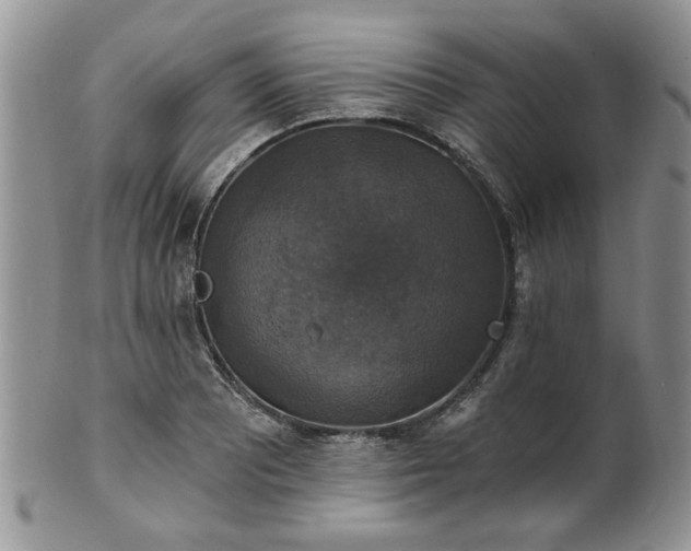 X0000101971081200807251206