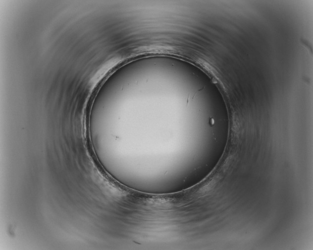 X0000101971082200807251206