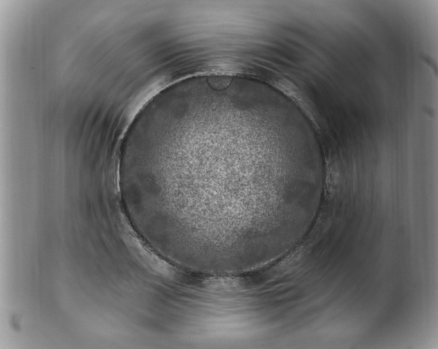 X0000101971083200807251206
