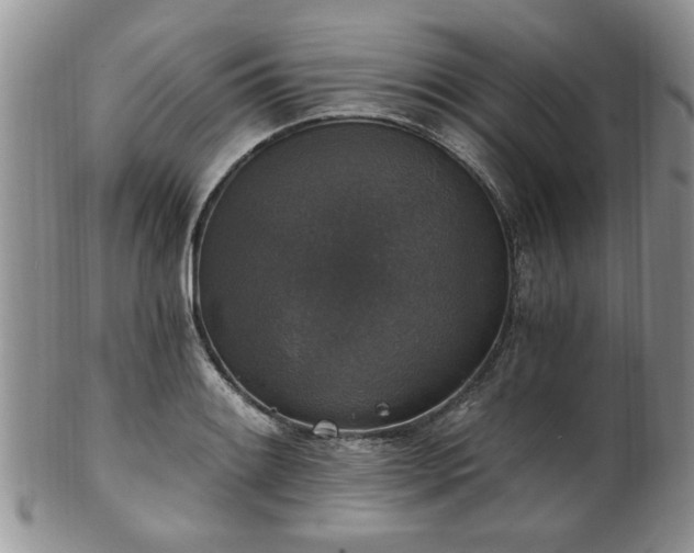 X0000101971084200807251206